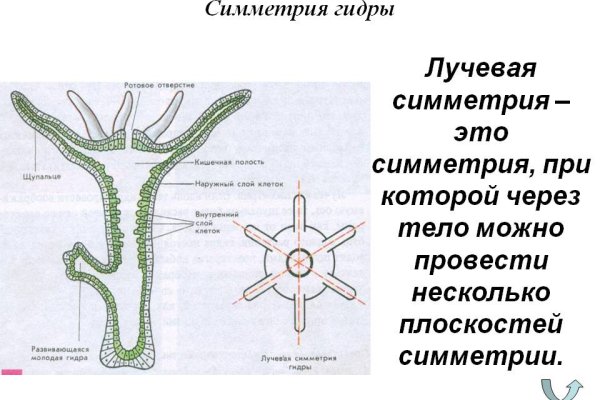 Кракен это современный даркнет маркетплейс